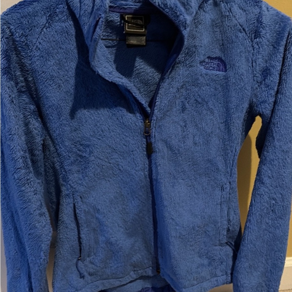 The North Face Vibrant Blue Fleece Jacket